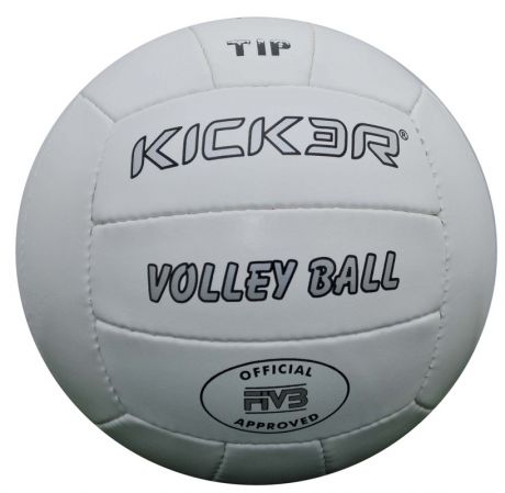 Мяч волейбольный Larsen Kicker Vega