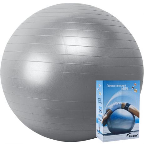 Мяч гимнастический Palmon r324065, 65см, серебристый