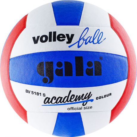 Мяч волейбольный Gala Academy №5 ПУ BV5181S