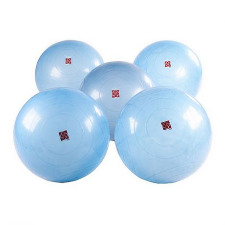 Гимнастические мячи Bosu Ballast Ball, комплект: 5 шт.