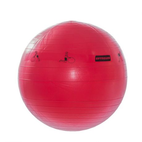 Мяч гимнастический для фитнеса 65см Armed с АВС L 0765b с насосом, красный