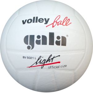 Мяч волейбольный Gala Light BV5021L р.5