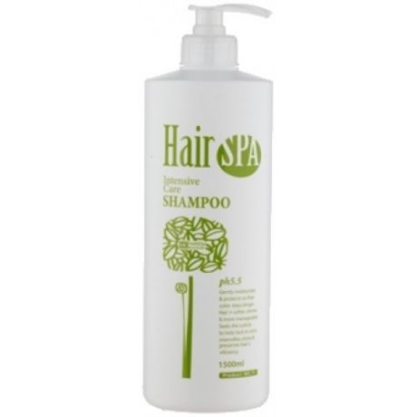 Шампунь для окрашенных волос Lombok Gain cosmetics Haken Hair Spa Intensive Care shampoo