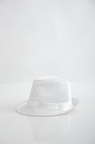Шляпа BRIONITY