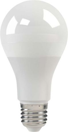 X-Flash Светодиодная лампа XF-E27-A65-P-11W-4000K-220V X-flash