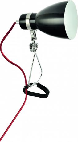 ARTE Lamp A1409LT-1BK