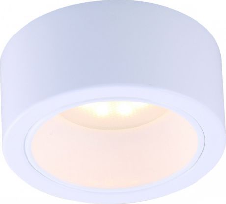 ARTE Lamp A5553PL-1WH