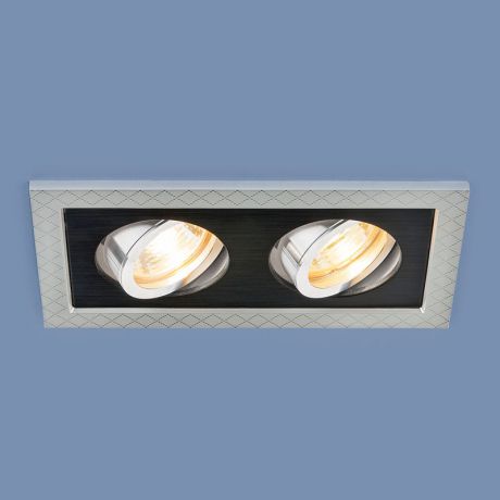 Elektrostandard Точечный светильник с поворотным механизмом 1041/2 MR16 SL/BK серебро/черный