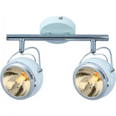 Светильник потолочный ARTE LAMP ORBITER A4509PL-2WH (4650071254008)