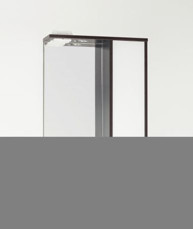 Зеркало-шкаф Style Line Эко Стиль (W) ЛС-00000086