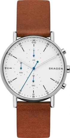Мужские часы Skagen SKW6462