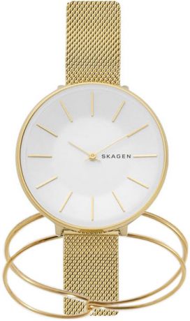 Женские часы Skagen SKW1104