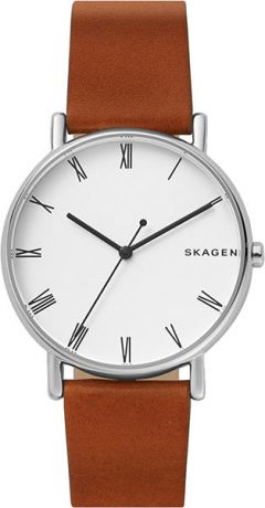 Мужские часы Skagen SKW6427