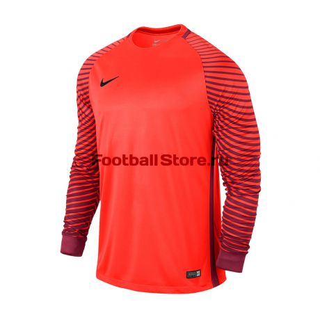 Свитер вратарский Nike Gardien JSY LS 725882-671