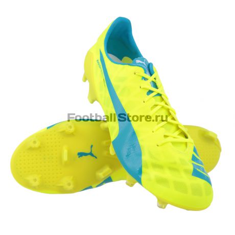 Бутсы Puma Evospeed SL FG 10323505