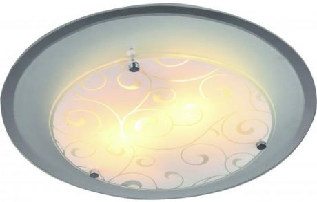 Потолочный светильник Arte Lamp A4806PL-2CC