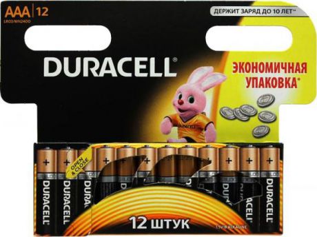 Батарейки Duracell Basic MN2400 -12BL AAA 12 шт