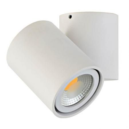 Потолочный светильник Donolux A1594White/RAL9003