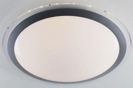 Потолочный светодиодный светильник с пультом ДУ Eurosvet Fusion 40004/1 LED матовое серебро