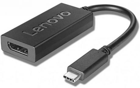 Переходник DisplayPort Lenovo 4X90L66916 круглый черный