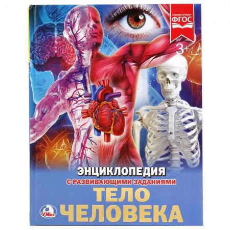 "УМКА". ТЕЛО ЧЕЛОВЕКА (ЭНЦИКЛОПЕДИЯ А4). ТВЕРДЫЙ ПЕРЕПЛЕТ. БУМАГА МЕЛ, 48 СТР., в кор.15шт