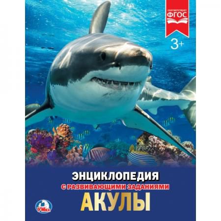 "УМКА". АКУЛЫ (ЭНЦИКЛОПЕДИЯ А4). ТВЕРДЫЙ ПЕРЕПЛЕТ. БУМАГА МЕЛОВАННАЯ 130Г. 197Х255 ММ в кор.15шт