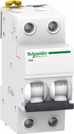 Автоматический выключатель Schneider Electric iK60 2П 6A C A9K24206