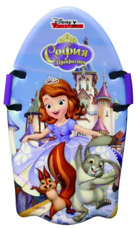 Ледянка 1Toy Disney: София пластик рисунок