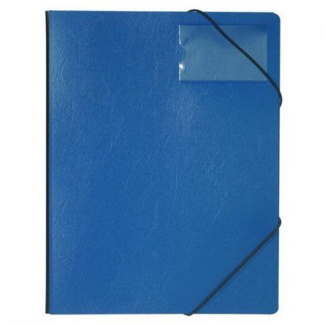 Папка на резинках из прочного пластика, ф.А4, на 150 листов, с инфо-окном 57х90 мм, синяя