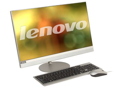 Моноблок Lenovo IdeaCentre AIO 520-24IKL (F0D10063RK) Pentium G4560T (2.9)/4GB/1TB/23.8