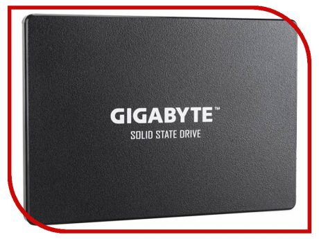 Жесткий диск GIGABYTE GP-GSTFS31240GNTD