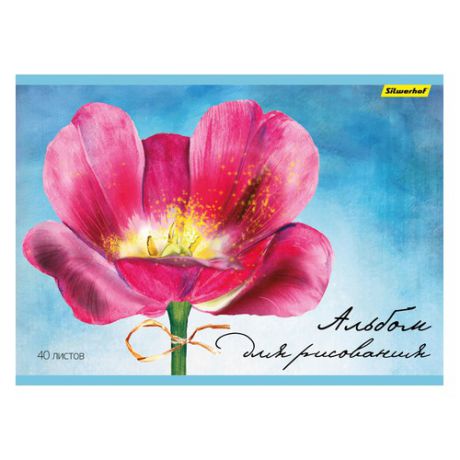 Альбом для рисования Silwerhof 911153-74 40л. A4 Акварельный цветок 1диз. мел.картон офс.лак склейка 5 шт./кор.