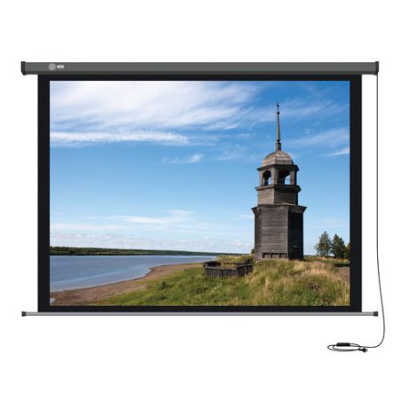 Экран CACTUS Professional Motoscreen CS-PSPM-152X203, 203х152 см, 4:3, настенно-потолочный