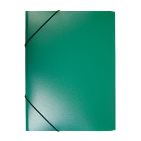 Папка на резинке Бюрократ -PR04GRN A4 пластик кор.15мм 0.4мм зеленый 80 шт./кор.