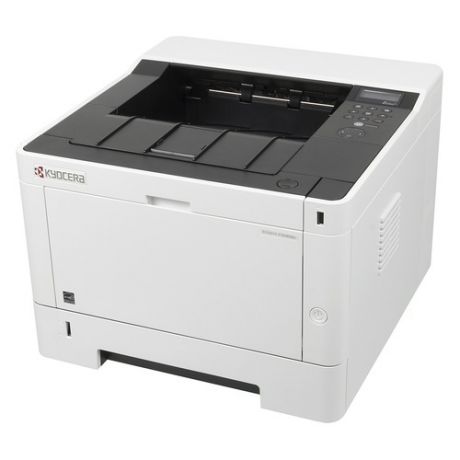 Принтер лазерный KYOCERA Ecosys P2040DN лазерный, цвет: черный [1102rx3nl0]