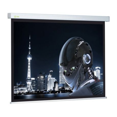 Экран CACTUS Wallscreen CS-PSW-127X127, 127х127 см, 1:1, настенно-потолочный белый