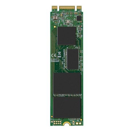 SSD накопитель TRANSCEND TS256GMTS800S 256Гб, M.2 2280, SATA III