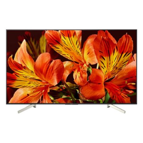 SONY BRAVIA KD55XF8596BR2 LED телевизор