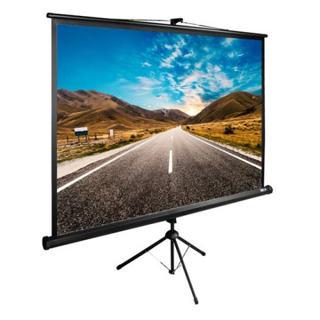 Экран CACTUS TriExpert CS-PSTE-160x160-BK, 160х160 см, 1:1, напольный