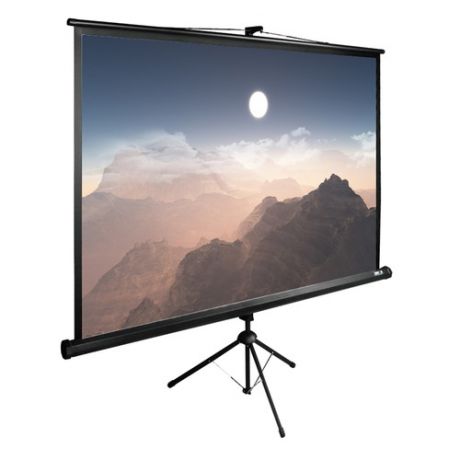 Экран CACTUS TriExpert CS-PSTE-180x180-BK, 180х180 см, 1:1, напольный