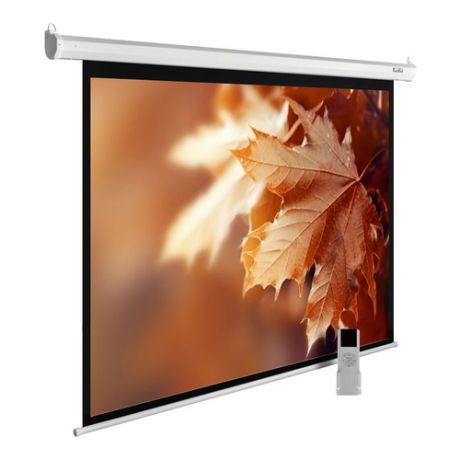 Экран CACTUS MotoExpert CS-PSME-300x188-WT, 300х188 см, 16:10, настенно-потолочный белый
