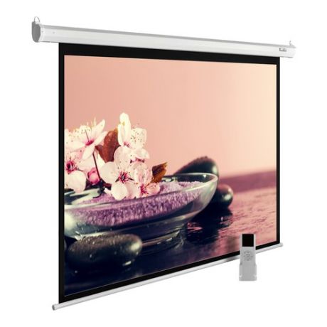 Экран CACTUS MotoExpert CS-PSME-360x270-WT, 360х270 см, 4:3, настенно-потолочный белый