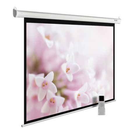 Экран CACTUS MotoExpert CS-PSME-240x240-WT, 240х240 см, 1:1, настенно-потолочный белый