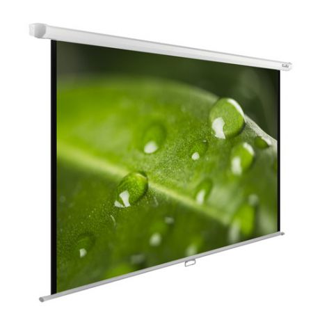Экран CACTUS WallExpert CS-PSWE-200x150-WT, 200х150 см, 4:3, настенно-потолочный