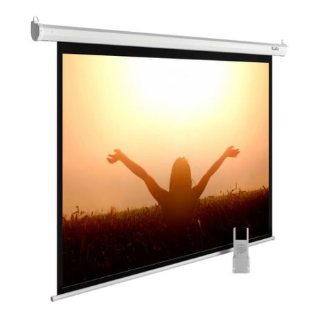 Экран CACTUS MotoExpert CS-PSME-220x165-WT, 165х220 см, 4:3, настенно-потолочный белый