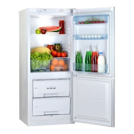 Холодильник POZIS RK-101, двухкамерный, белый [546av]