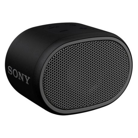 Портативная колонка SONY SRS-XB01, 3Вт, черный [srsxb01b.ru2]