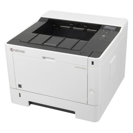 Принтер лазерный KYOCERA Ecosys P2040DW лазерный, цвет: черный [1102ry3nl0]