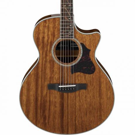 Гитара электроакустическая Ibanez AE245-NT