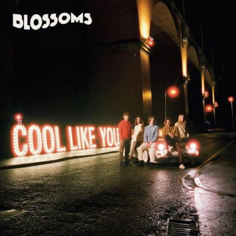 Blossoms Blossoms - Cool Like You